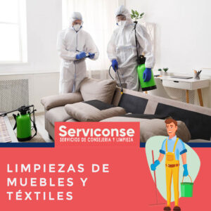 Limpieza de mueblesy textiles