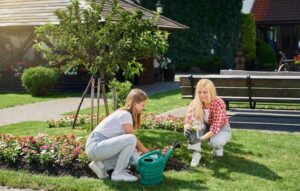 Desvelando los secretos: La guía paso a paso para crear el jardín de sus sueños